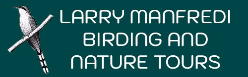 Larry Manfredi Birding and Nature Tours Logo